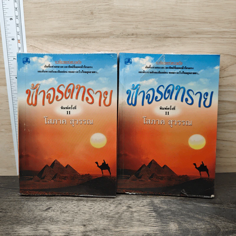 ฟ้าจรดทราย 2 เล่มจบ - โสภาค สุวรรณ รูปที่ 1