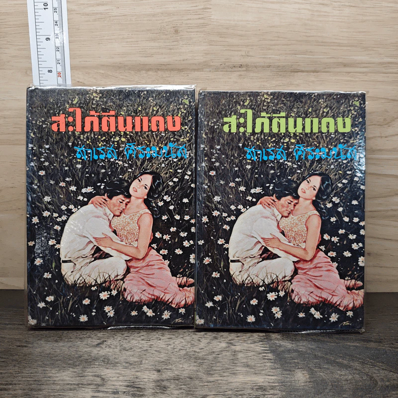 สะใภ้ตีนแดง 2 เล่มจบ - สาเรส ศิระมนัส รูปที่ 1