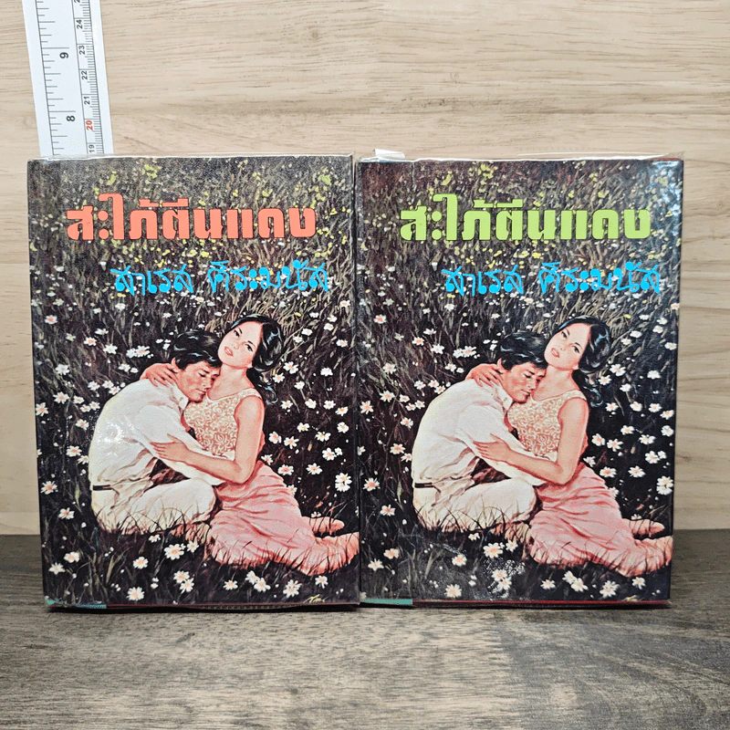สะใภ้ตีนแดง 2 เล่มจบ - สาเรส ศิระมนัส รูปที่ 1