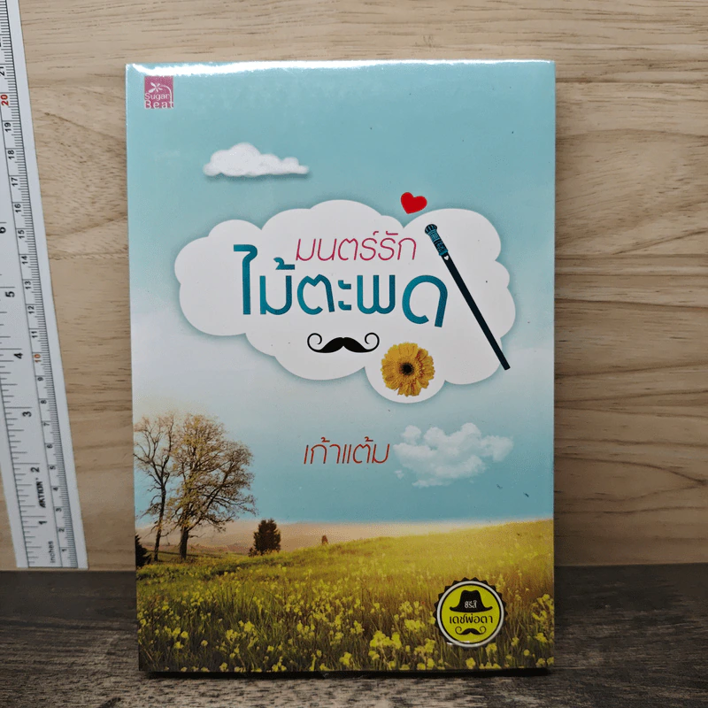 มนตร์รักไม้ตะพด - เก้าแต้ม รูปที่ 1
