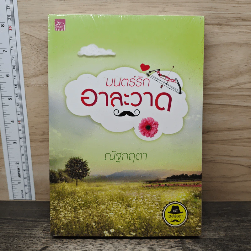 มนตร์รักอาละวาด - ณัฐกฤตา รูปที่ 1