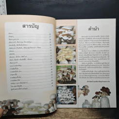คู่มือการเพาะเห็ดพืชเศรษฐกิจที่ทรงคุณค่าทางโภชนาการ - ศรานนท์ เจริญสุข รูปที่ 6