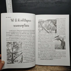 เคล็ดเกษตร ตอน...เพิ่มรายได้ขยายโอกาส รูปที่ 8