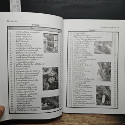 เคล็ดเกษตร ตอน...เพิ่มรายได้ขยายโอกาส รูปที่ 7