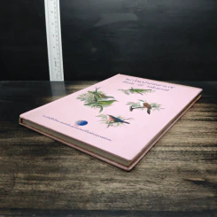 นกในป่าสะแกราช Birds of Sakaerat - สถาบันวิจัยวิทยาศาสตร์และเทคโนโลยีแห่งประเทศไทย รูปที่ 4
