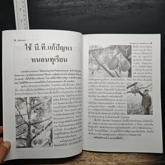 เคล็ดเกษตร ตอน...เพิ่มรายได้ขยายโอกาส รูปที่ 8