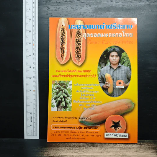 เทคนิคการผลิตมะละกอเงินล้าน - ทวีศักดิ์ ชัยเรืองยศ รูปที่ 2
