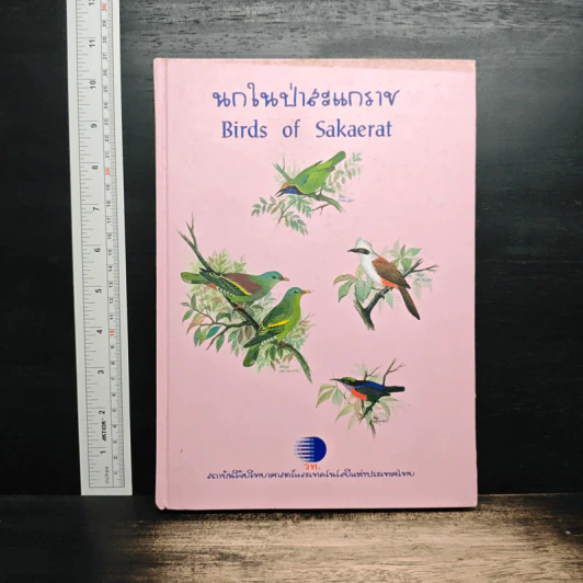 นกในป่าสะแกราช Birds of Sakaerat - สถาบันวิจัยวิทยาศาสตร์และเทคโนโลยีแห่งประเทศไทย รูปที่ 1