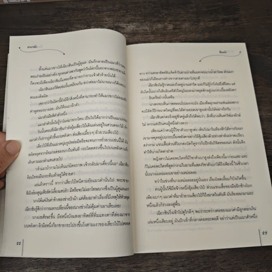 ชายาลับ - ซินฉ่ง, กระบี่หลงทิศ รูปที่ 7