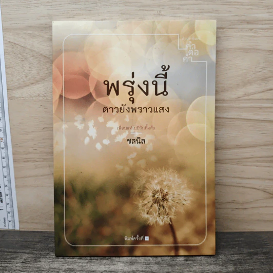 พรุ่งนี้ดาวยังพราวแสง - ชลนิล รูปที่ 1