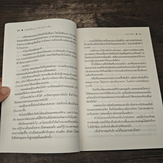 เฟยมี่อิง นางร้ายสายชิล - แสงเพลิง รูปที่ 7