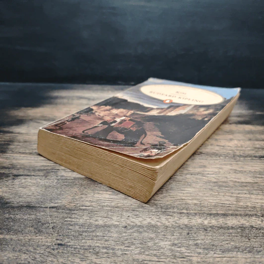 Kim - Rudyard Kipling รูปที่ 4