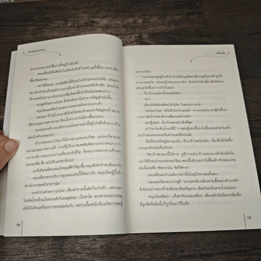 รอยอาลัยหญิงงาม - เตี่ยนซิน รูปที่ 7