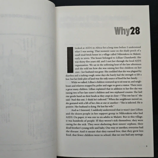 28 Stories of AIDS in Africa - Stephanie Nolen รูปที่ 7