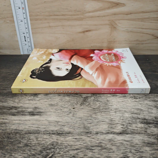 นางโลมจอมป่วน - โม่เหยียน รูปที่ 2