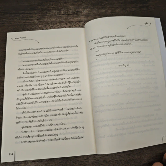 อาจารย์ยอดรัก ชุด หญิงงามจำแลงรัก - หูเตี๋ย รูปที่ 8