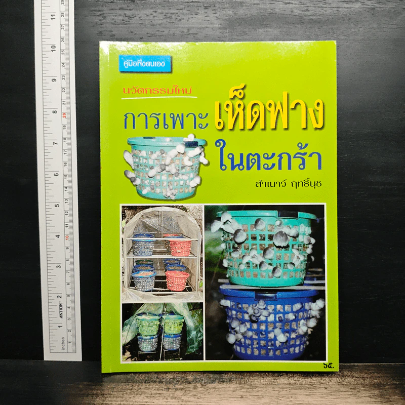 สูตรเด็ดการเพาะเห็ดฟางในตะกร้า - สำเนาว์ ฤทธิ์นุช รูปที่ 1