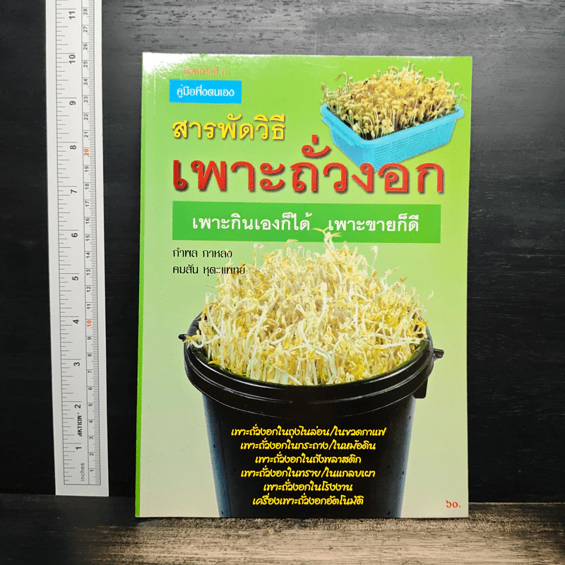 สารพัดวิธีเพราะถั่วงอก รูปที่ 1