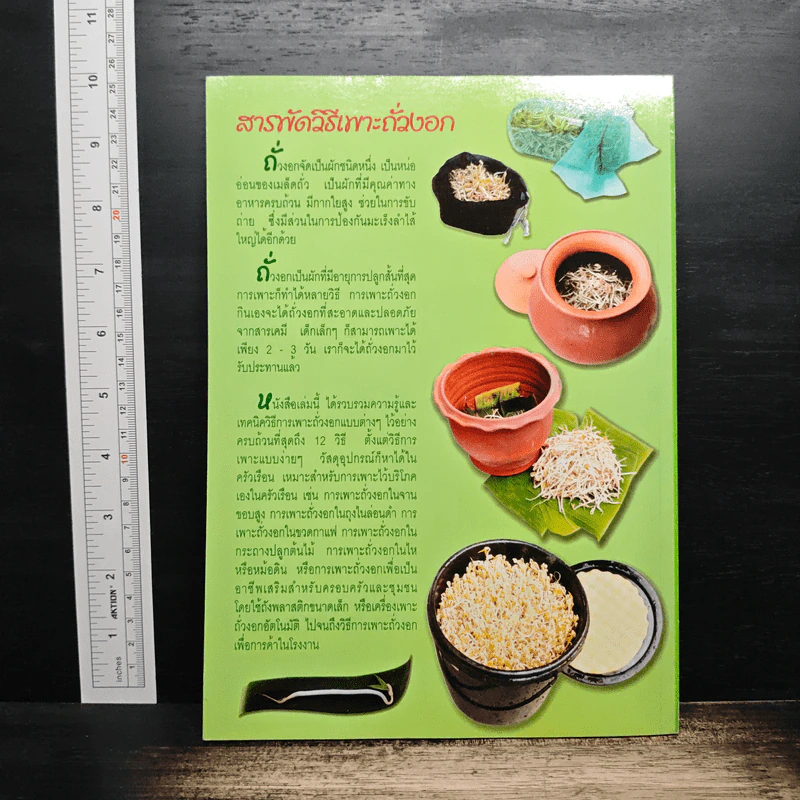สารพัดวิธีเพราะถั่วงอก รูปที่ 2