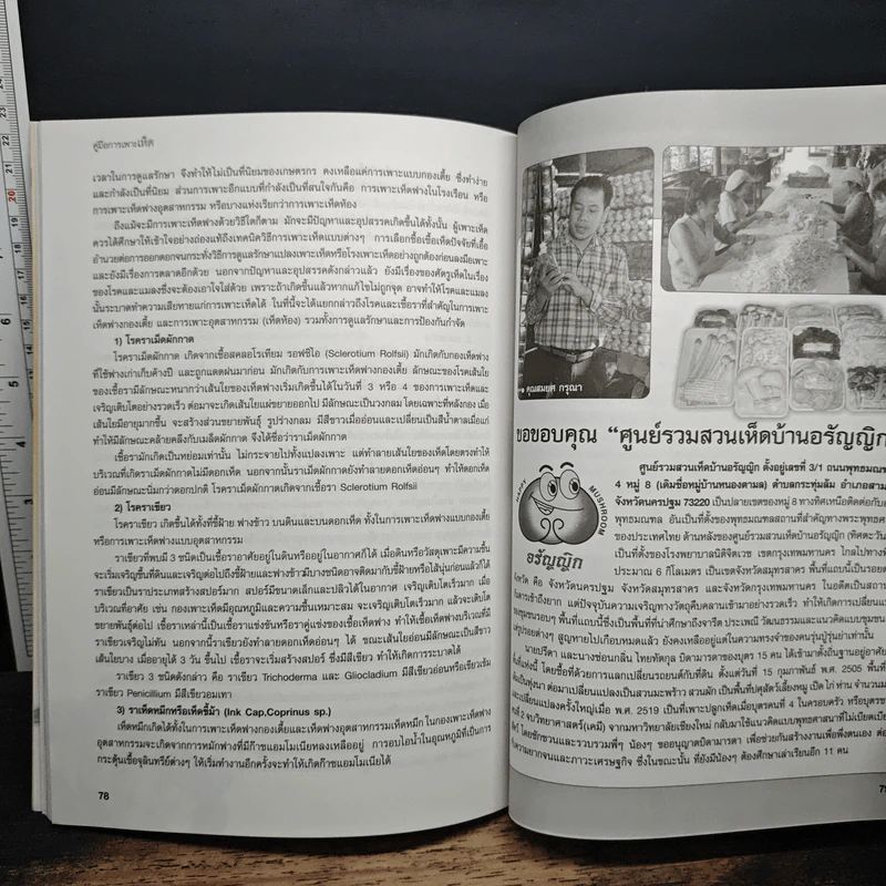 คู่มือการเพาะเห็ดพืชเศรษฐกิจที่ทรงคุณค่าทางโภชนาการ - ศรานนท์ เจริญสุข รูปที่ 9