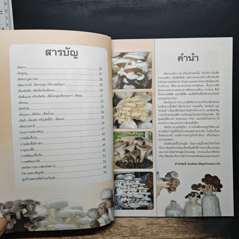 คู่มือการเพาะเห็ดพืชเศรษฐกิจที่ทรงคุณค่าทางโภชนาการ - ศรานนท์ เจริญสุข รูปที่ 6