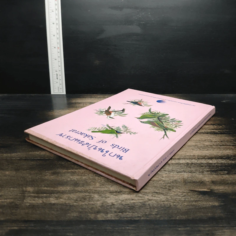 นกในป่าสะแกราช Birds of Sakaerat - สถาบันวิจัยวิทยาศาสตร์และเทคโนโลยีแห่งประเทศไทย รูปที่ 5