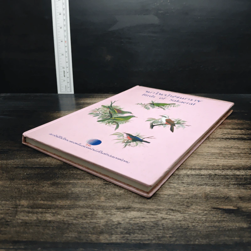 นกในป่าสะแกราช Birds of Sakaerat - สถาบันวิจัยวิทยาศาสตร์และเทคโนโลยีแห่งประเทศไทย รูปที่ 4