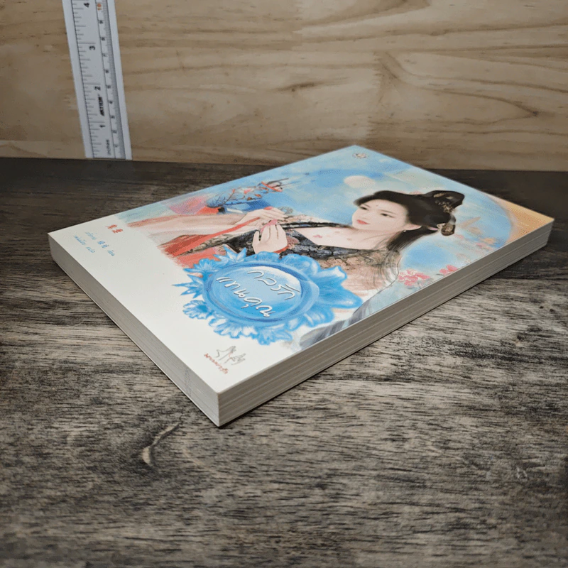 กลรักแทนคุณ - ลวี่กวง รูปที่ 3
