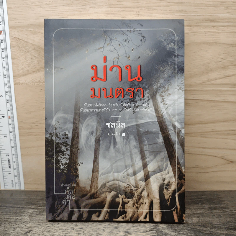 ม่านมนตรา - ชลนิล รูปที่ 1