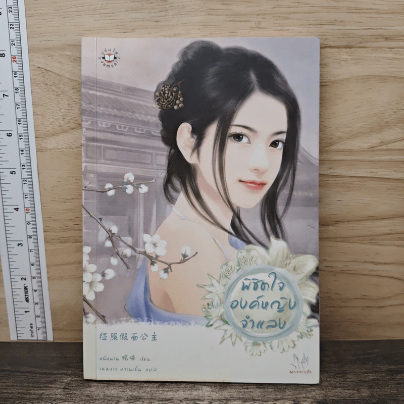 พิชิตใจองค์หญิงจำแลง - หนีหนาน รูปที่ 1
