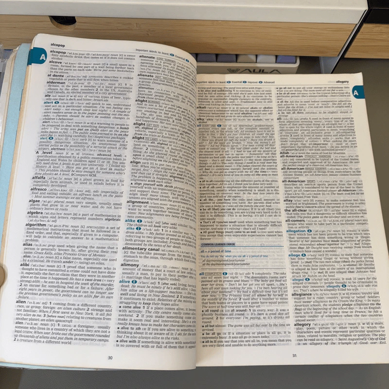 Cambridge Advanced Learner's Dictionary รูปที่ 8