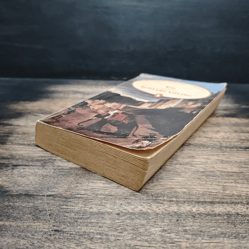 Kim - Rudyard Kipling รูปที่ 4