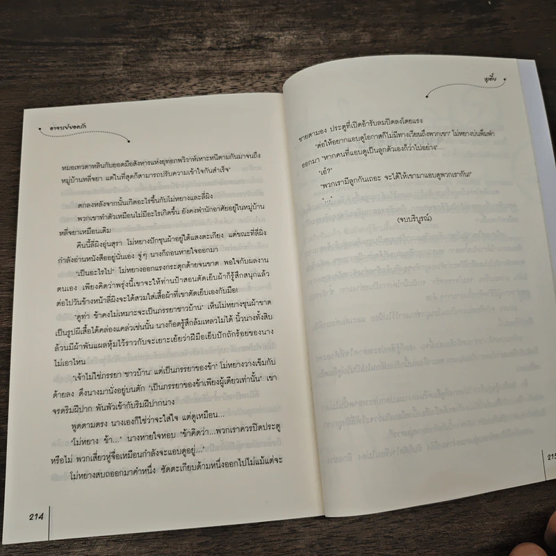 อาจารย์ยอดรัก ชุด หญิงงามจำแลงรัก - หูเตี๋ย รูปที่ 8