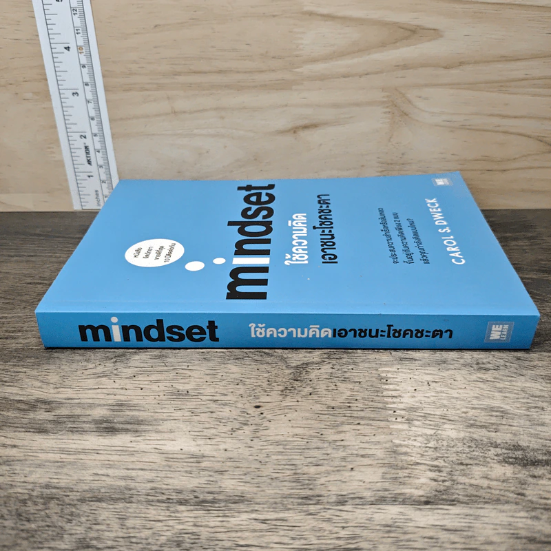 Mindset ใช้ความคิดเอาชนะโชคชะตา - Carol S.Dweck รูปที่ 2