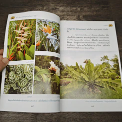 สารานุกรมไทยสำหรับเยาวชน ฉบับเสริมการเรียนรู้ เล่ม 10 รูปที่ 8