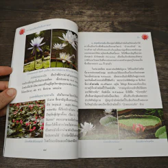 สารานุกรมไทยสำหรับเยาวชน ฉบับเสริมการเรียนรู้ เล่ม 13 รูปที่ 8