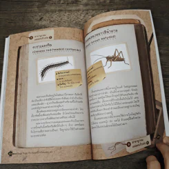Bugs Bugs ศึกเวทมนตร์โรงเรียนแมลง เล่ม 5 รูปที่ 7
