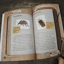 Bugs Bugs ศึกเวทมนตร์โรงเรียนแมลง เล่ม 7 รูปที่ 8