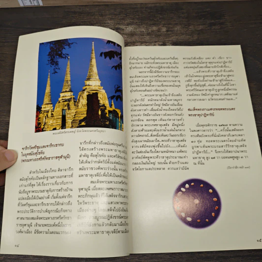ปาฏิหาริย์พระธาตุเสด็จ - อาจารย์ทศพล จังพานิชย์กุล รูปที่ 8