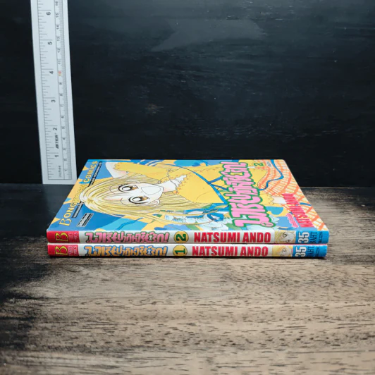 มาเรียปาฏิหาริย์รัก! 2 เล่มจบ รูปที่ 3