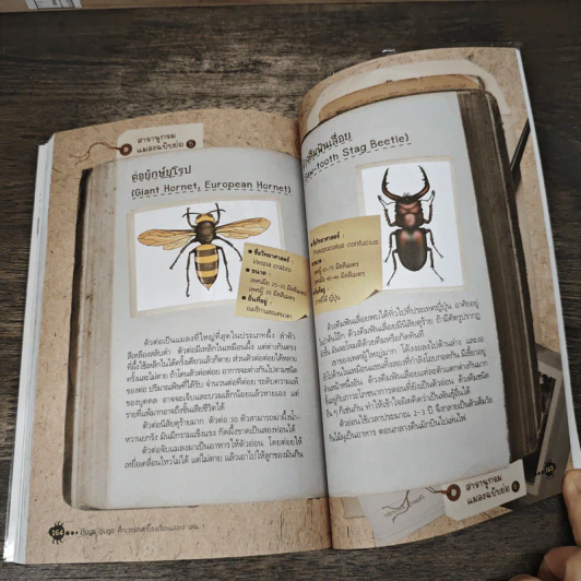 Bugs Bugs ศึกเวทมนตร์โรงเรียนแมลง เล่ม 1 รูปที่ 9