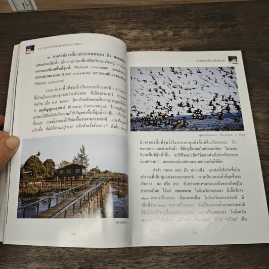 สารานุกรมไทยสำหรับเยาวชน เล่ม 5 รูปที่ 8