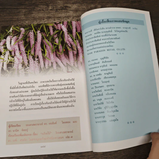 สารานุกรมไทยสำหรับเยาวชน โดยพระราชประสงค์ในพระบาทสมเด็จพระเจ้าอยู่หัว เล่ม 13 รูปที่ 9