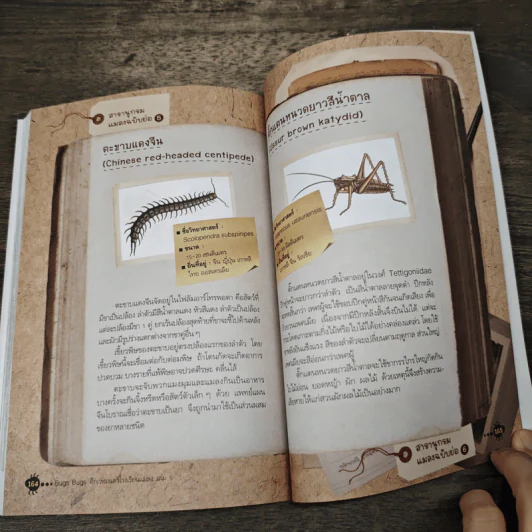 Bugs Bugs ศึกเวทมนตร์โรงเรียนแมลง เล่ม 5 รูปที่ 7