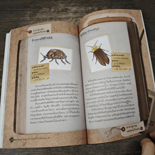 Bugs Bugs ศึกเวทมนตร์โรงเรียนแมลง เล่ม 7 รูปที่ 8