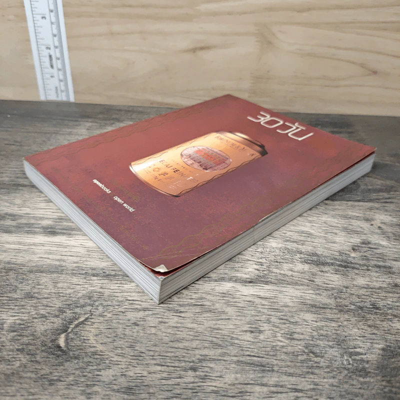 30 วัน เล่ม 3 - ภิญโญ ไตรสุริยธรรมา รูปที่ 3