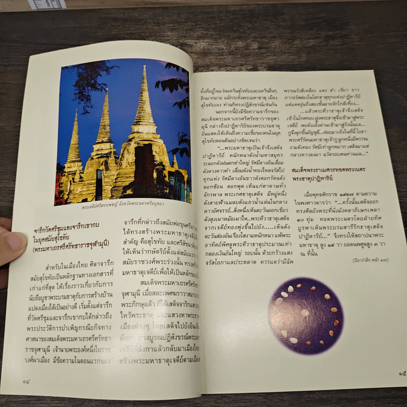 ปาฏิหาริย์พระธาตุเสด็จ - อาจารย์ทศพล จังพานิชย์กุล รูปที่ 8