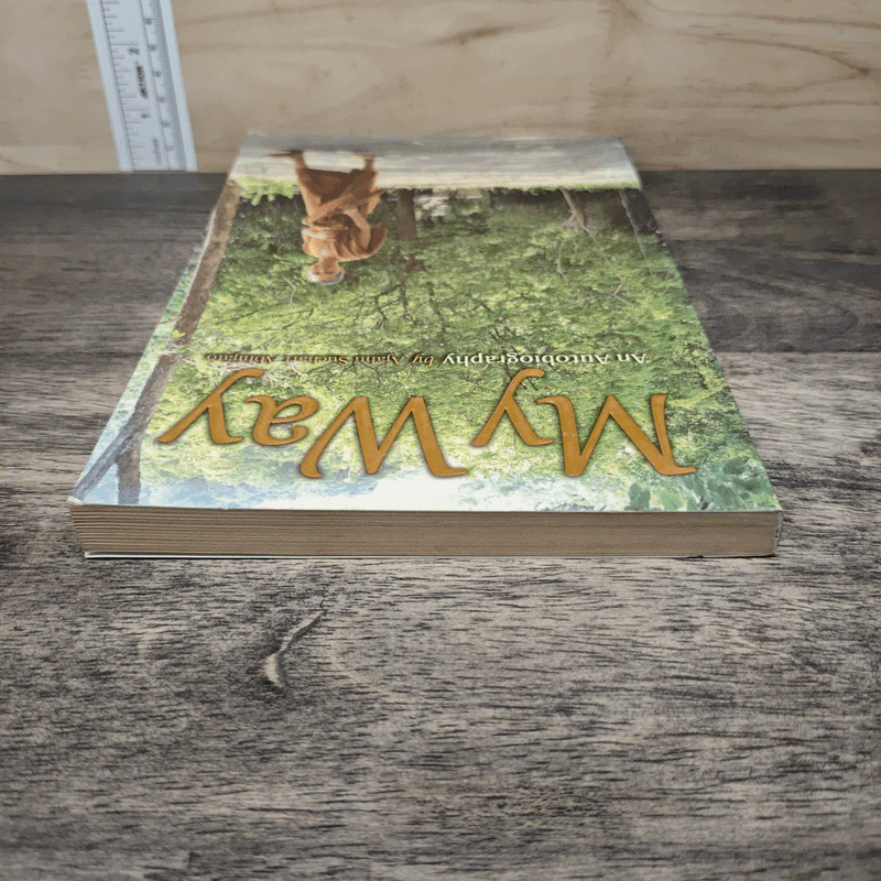 My Way - Ajahn Suchart Abhijato รูปที่ 4