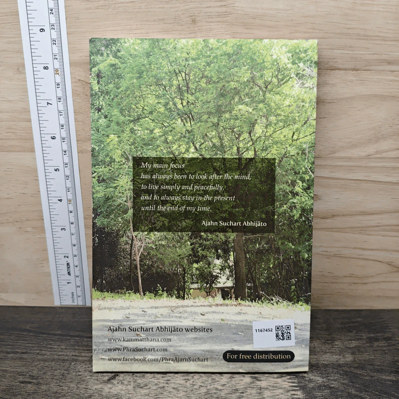My Way - Ajahn Suchart Abhijato รูปที่ 5