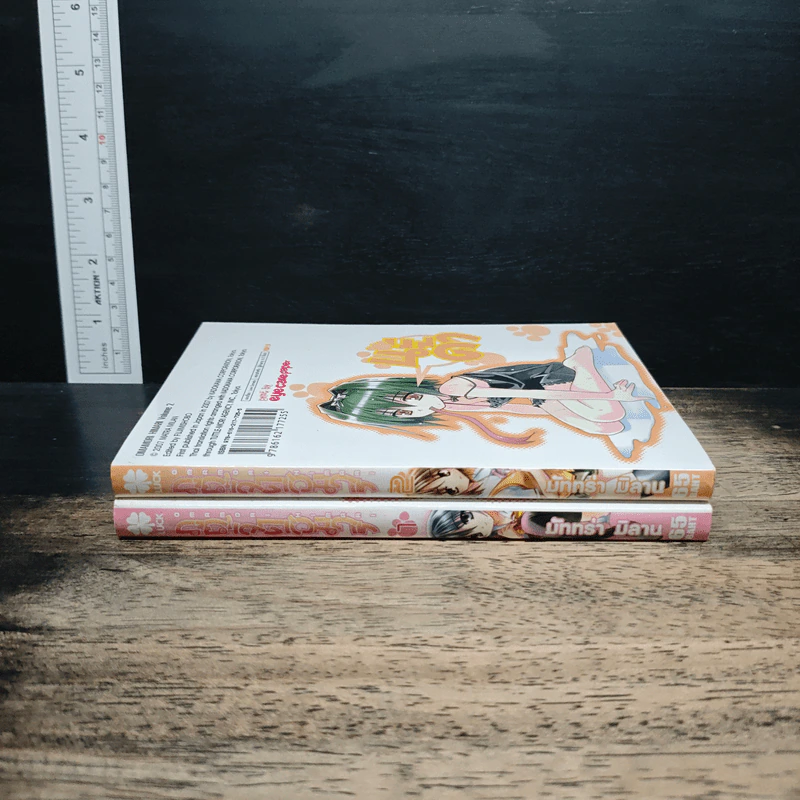 ภูตจี๊ดฮิมาริ เล่ม 1-2 รูปที่ 3